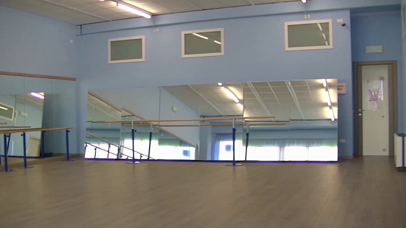 Fantasy Fly Dance